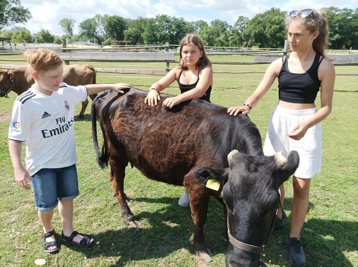 Zoopark Zelcin Villa Mělník Exteriör bild