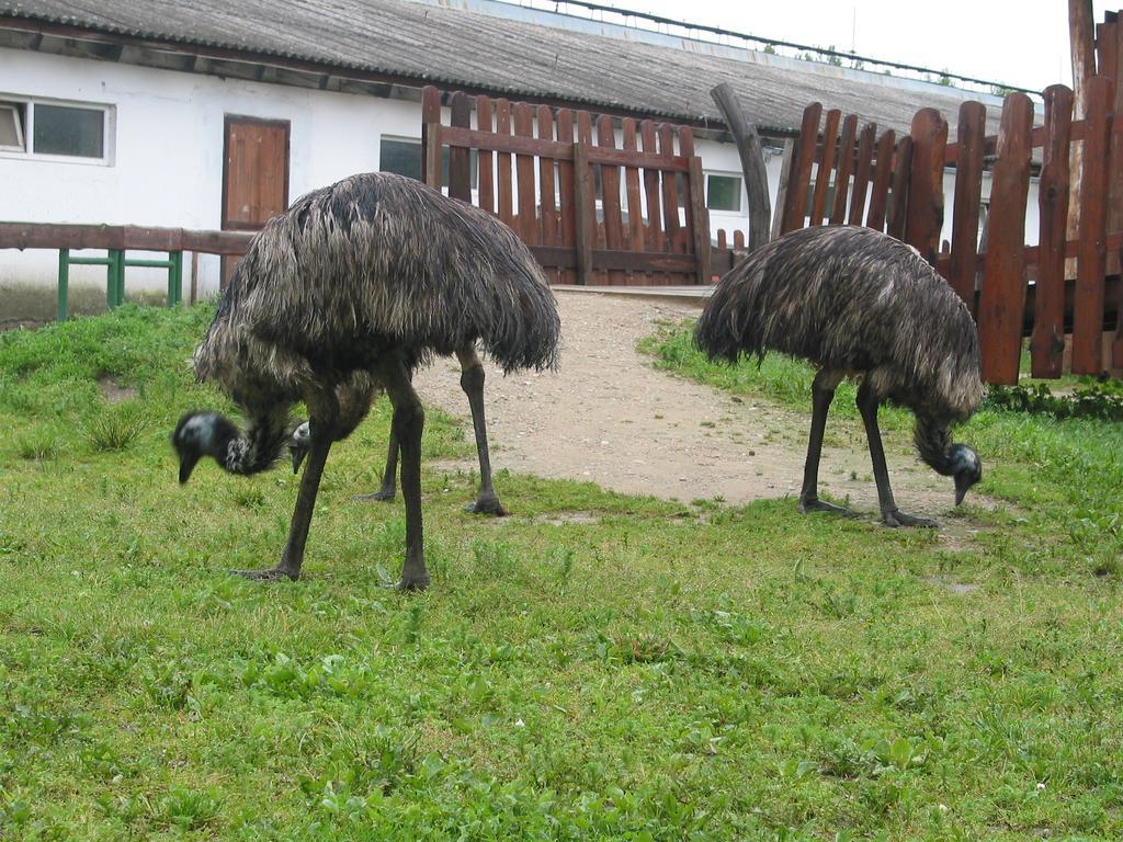 Zoopark Zelcin Villa Mělník Exteriör bild