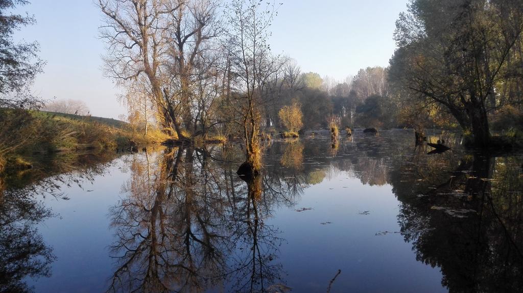 Zoopark Zelcin Villa Mělník Exteriör bild