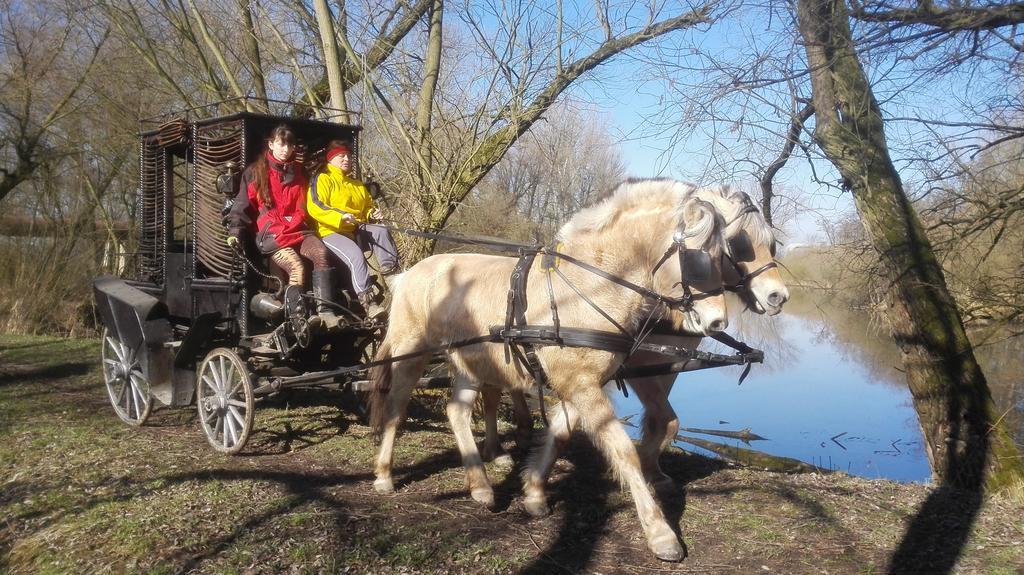 Zoopark Zelcin Villa Mělník Exteriör bild