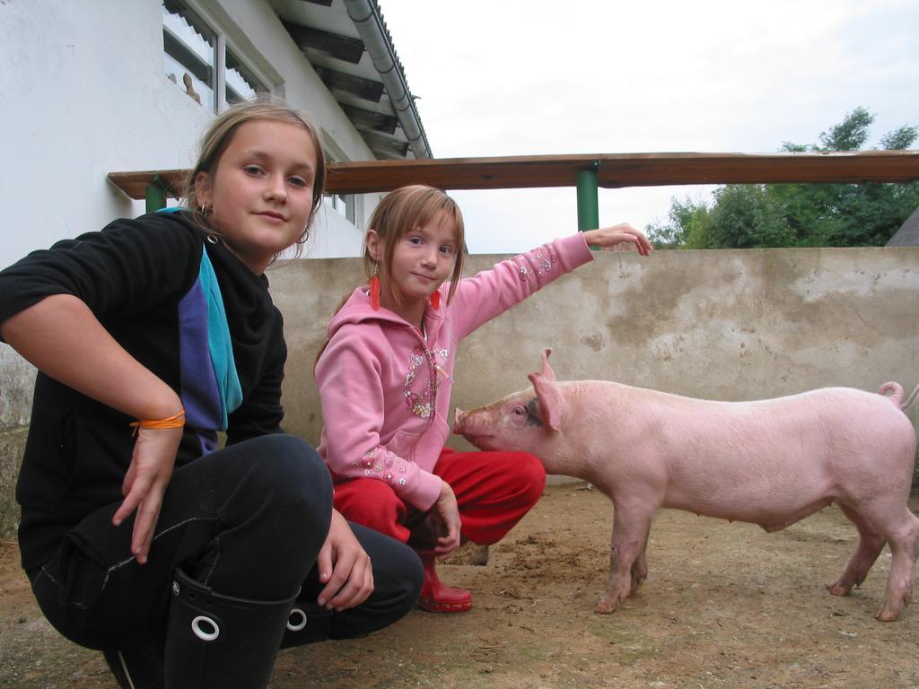 Zoopark Zelcin Villa Mělník Exteriör bild