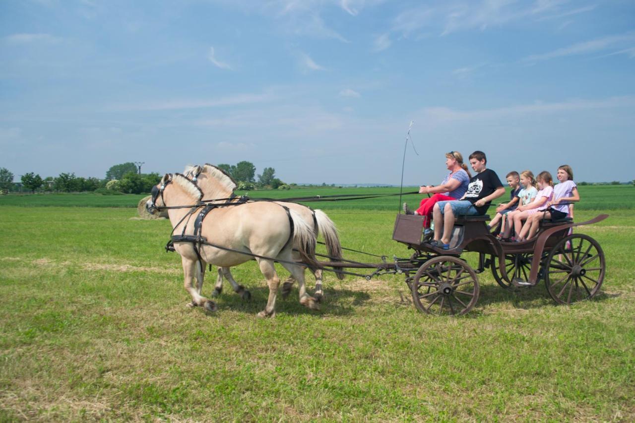 Zoopark Zelcin Villa Mělník Exteriör bild
